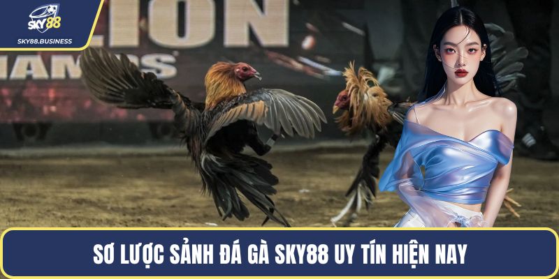 Sơ lược sảnh đá gà SKY88 uy tín hiện nay
